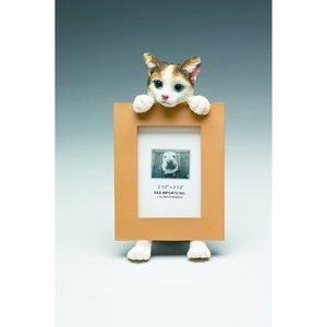 Calico Cat picture frame